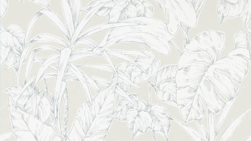 Parlour Palm 112026